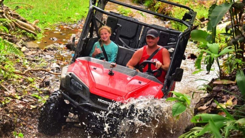 Punta Cana: Jungle Buggy Tour with Monkeyland Visit - An Authentic Day in the Dominican Wilderness