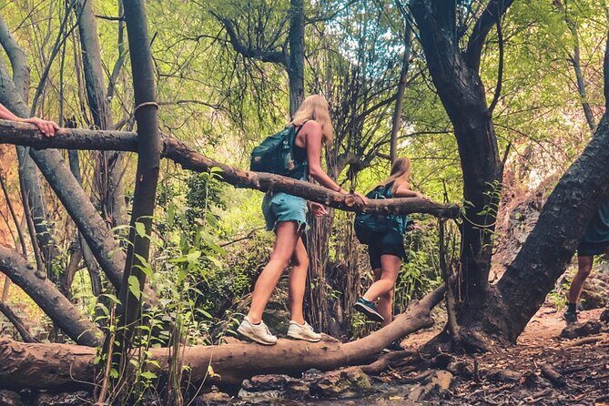 Punta Cana: Los Haitises Hike & Kayaking Mangroves - Experience the Natural Beauty of Punta Cana: Los Haitises Hike & Kayaking Mangroves
