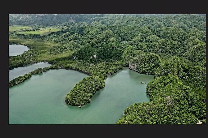 Punta Cana: Los Haitises Hike & Kayaking Mangroves - Key Points