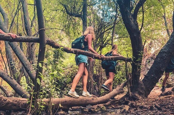 Punta Cana: Los Haitises Hike & Kayaking Mangroves - Frequently Asked Questions