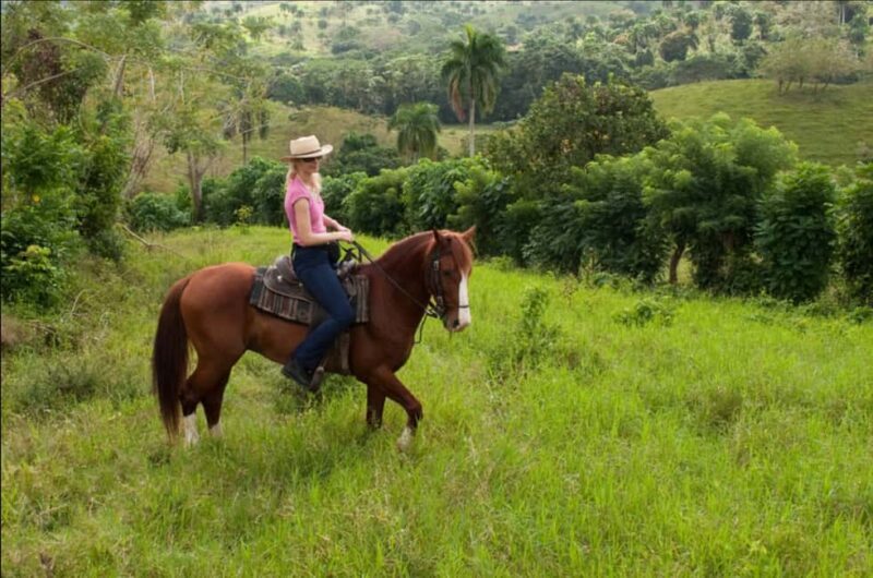 Punta Cana: Los Haitises National Park Horseback & Boat Tour - Quick Overview: What to Expect from This Full-Day Adventure