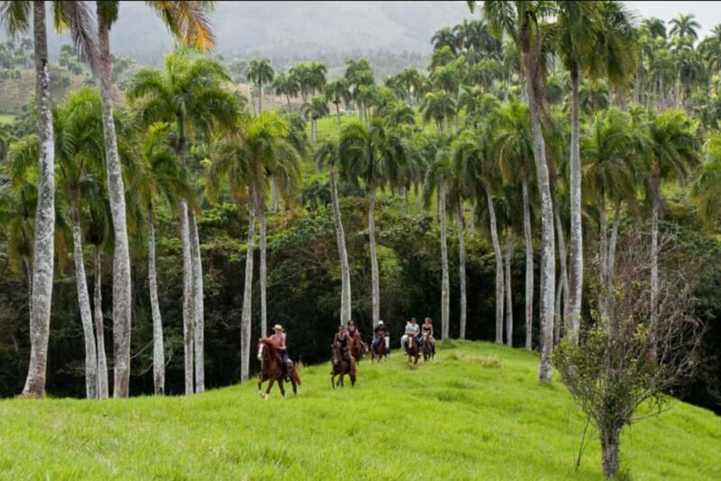 Punta Cana: Los Haitises National Park Horseback & Boat Tour - In-Depth Look at the Tour Experience