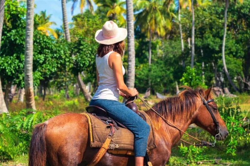 Punta Cana: Los Haitises National Park Horseback & Boat Tour - Visiting the Caves and Taino Petroglyphs