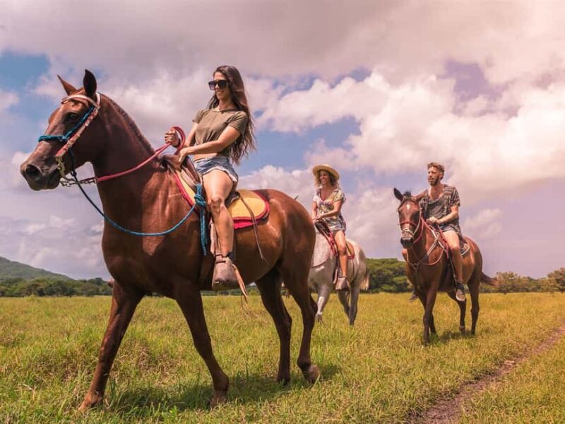 Punta Cana: Los Haitises National Park Horseback & Boat Tour - Who Will Love This Tour?