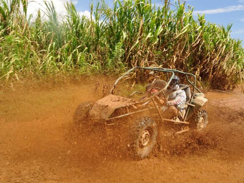 Punta Cana: Macao Beach Buggy Tour - Key Points