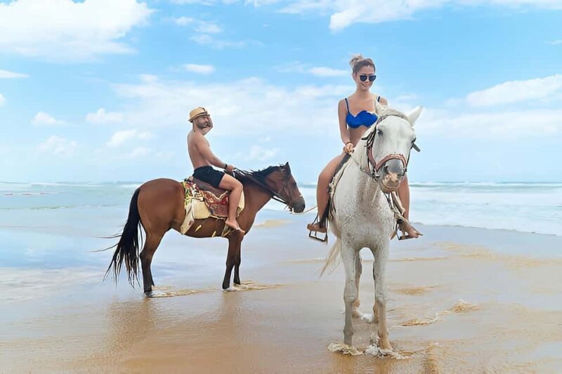 Punta Cana: Macao Beach & Forest Horseback Riding Tour - Key Points