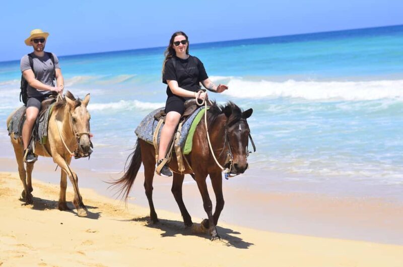 Punta Cana: Macao Beach & Forest Horseback Riding Tour - The Real Experience: What Travelers Say