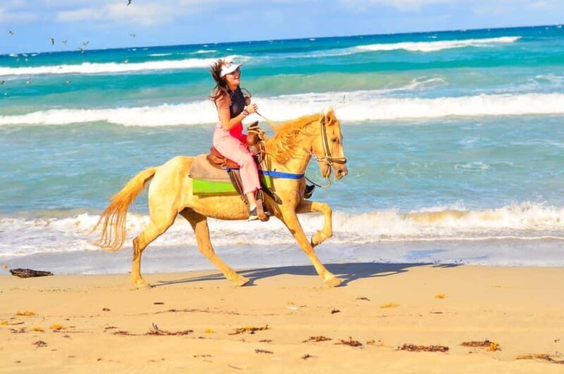 Punta Cana: Macao Beach & Forest Horseback Riding Tour - Final Thoughts