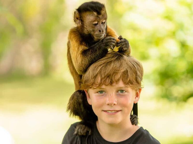 Punta Cana: Monkey Adventure by Jhoraji With Hotel Pick-Up - The Monkey Interaction