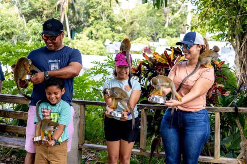 Punta Cana: Monkey Land Half-Day Safari and Plantation - Punta Cana: Monkey Land Half-Day Safari and Plantation - A Detailed Review