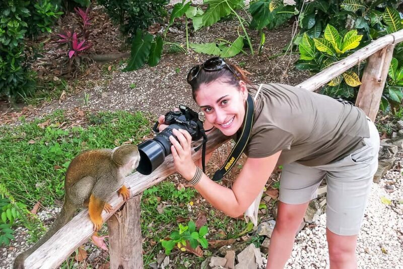 Punta Cana: Monkey Land Half-Day Safari and Plantation - Who Should Consider This Tour?