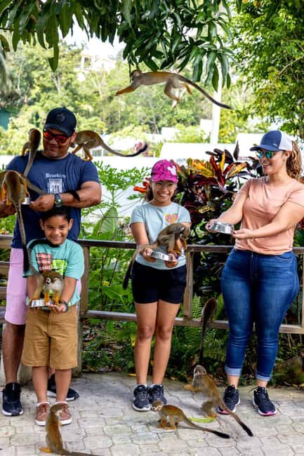 Punta Cana: Monkey Land Half-Day Safari and Plantation - The Sum Up