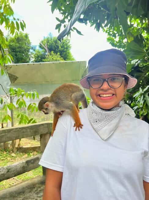 Punta Cana: Monkey Land Tour with Hotel Pickup - Exploring the Punta Cana Monkey Land Tour: What to Expect