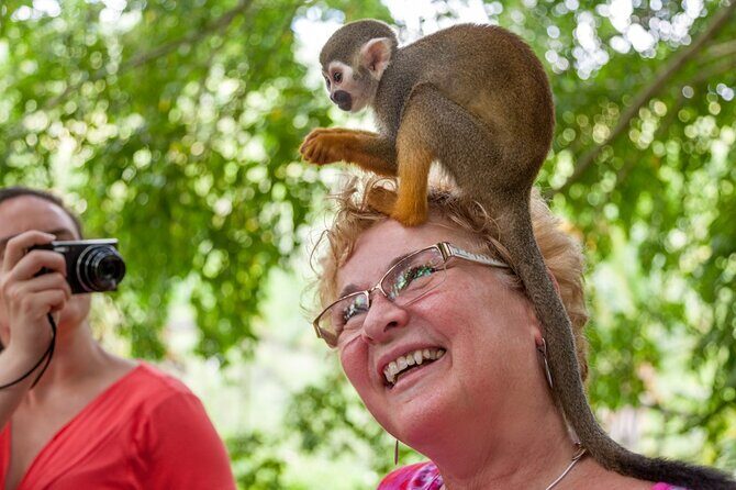 Punta Cana Monkeyland and Zipline Two Adventures in One Day - Who Would Enjoy This Tour?