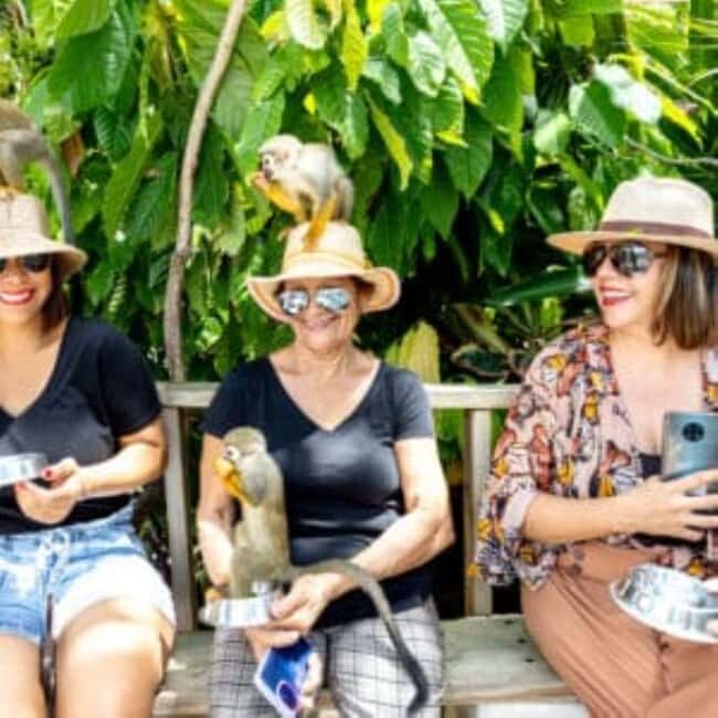 Punta Cana: Monkeyland Half-Day Tour with Snacks and Guide - Experience Overview