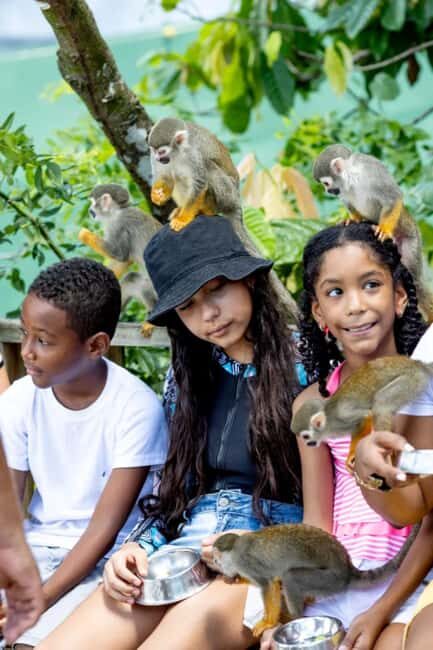 Punta Cana: Monkeyland Half-Day Tour with Snacks and Guide - Key Points