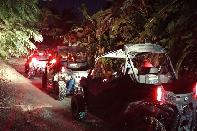 Punta Cana Night Tour Polaris Ride Dinner Music and Open Bar - The Practicalities