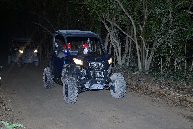 Punta Cana Night Tour Polaris Ride Dinner Music and Open Bar - The Sum Up