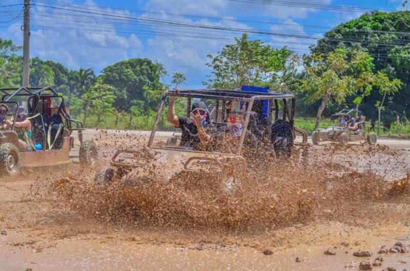 Punta Cana: Off-Road ATV Tour, Buggy Macao Beach. Free Pickup - The Sum Up