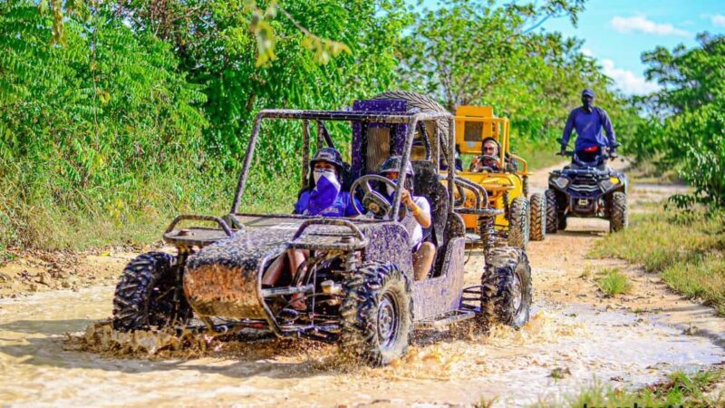 Punta Cana: Off-Road Buggy Tour with Cenote & Countryside - Authentic Experience or Adventure?