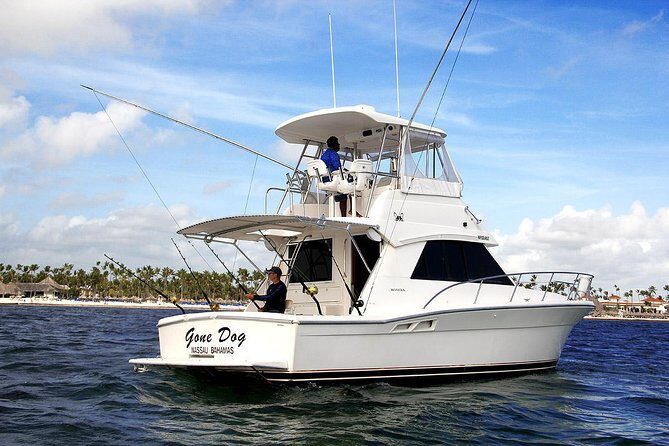 Punta Cana Offshore Deep Sea Fishing Charter - Key Points