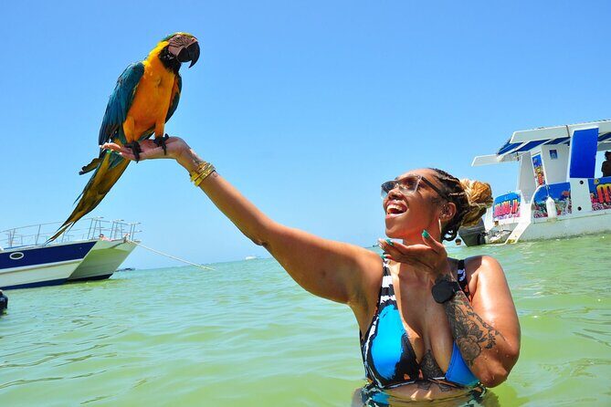 Punta Cana Party Boat Cruise with Snorkeling, Open Bar & Hip Hop - Who Should Book This Tour?