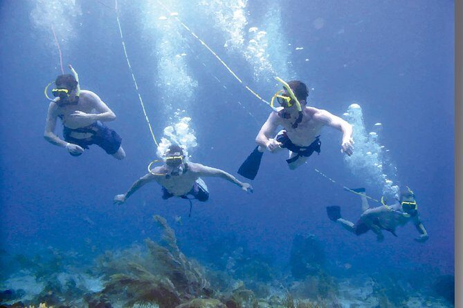 Punta Cana Party Cruise with Snorkeling, Hooka Diving and Parasailing - Who Should Consider This Tour?