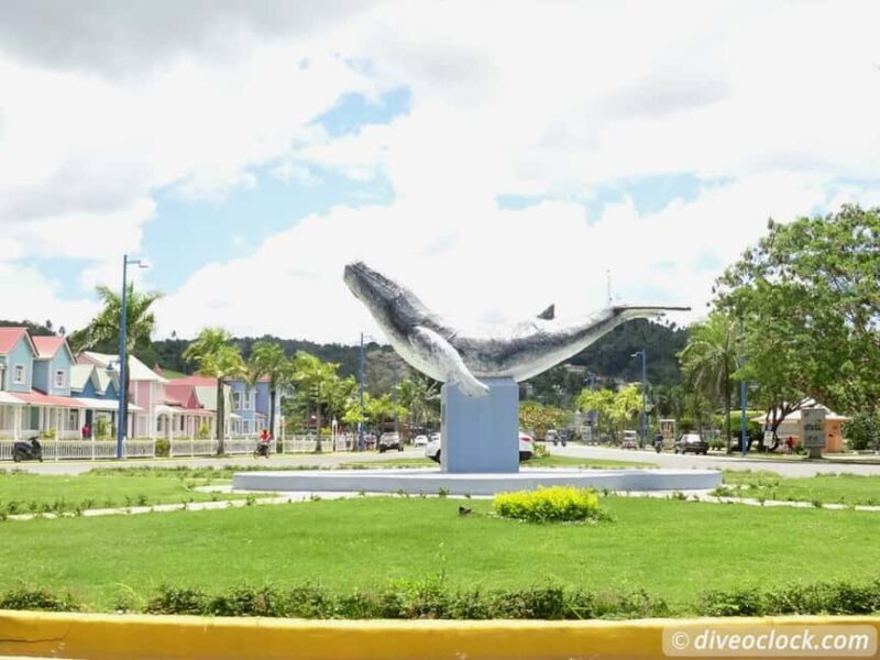 Punta Cana: Playa Rincon, Samana, & Cayo Levantado Day Trip - FAQ