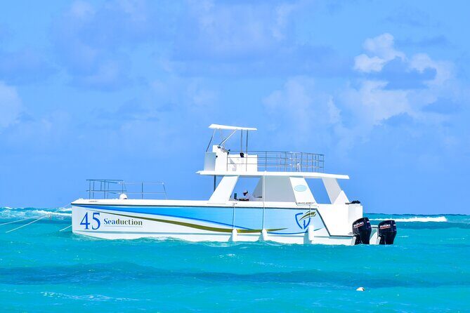 Punta Cana Private Boat Tour with Open Bar and BBQ - A True Look at the Experience