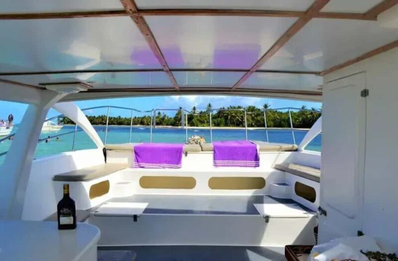 Punta Cana: Private Catamaran Cruise with Open Bar - Key Points