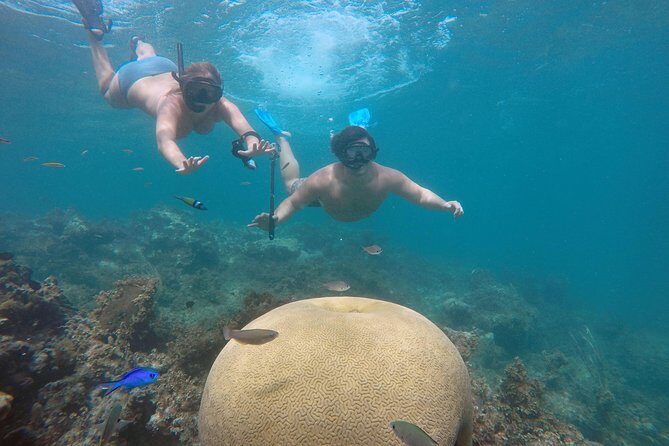 Punta Cana Private Cruise Up To 10 Snorkeling & Seafood lunch - Key Points