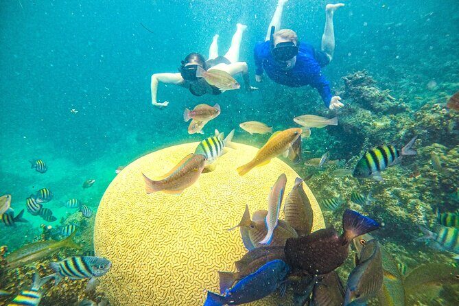 Punta Cana Private Cruise Up To 10 Snorkeling & Seafood lunch - In-Depth Review of the Punta Cana Private Catamaran Tour