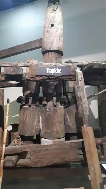 Punta Cana: Private Dominican Flavors Cultural Half-Day Trip - Key Points