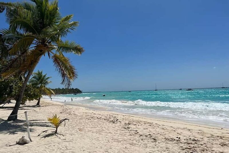 Punta Cana: Private Higüey Safari Tour w/ Lunch & Beach Time - Key Points