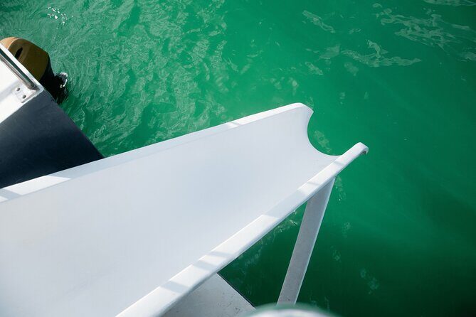 Punta Cana Private Mega Catamaran Tour with Snorkeling and Bar - Who Should Consider This Tour?