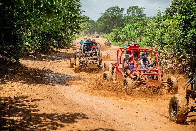 Punta Cana Private off-road buggy ride adventure - Exploring the Details of the Punta Cana Off-Road Buggy Tour
