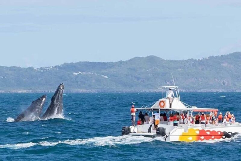 Punta Cana: Private Samaná Whale Watching Day Trip - The Experience in Detail