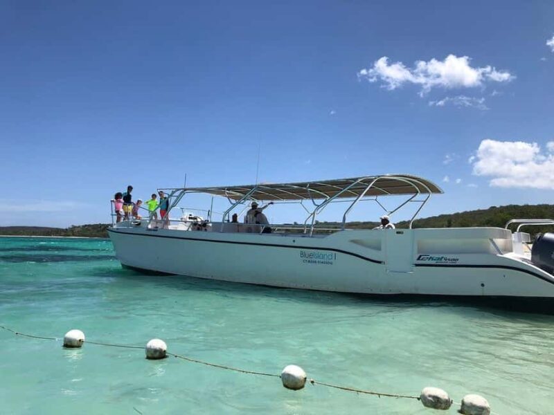 Punta Cana: Private Saona Island Full-Day Tour, Natural Pool - In The Sum Up: Who Will Love This Tour?