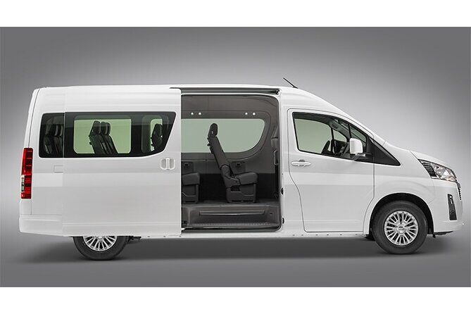 Punta Cana Private Transfer from Punta Cana Airport to Your Hotel - Key Points