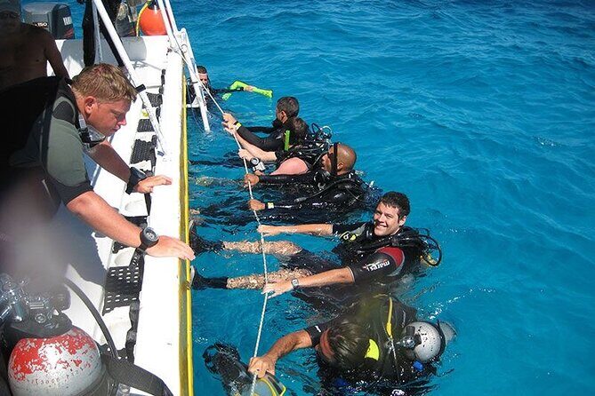 Punta Cana Reef Diving Adventure Explore Underwater Wonders - Detailed Review of the Punta Cana Reef Diving Adventure