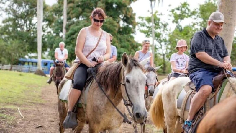 Punta Cana: Safari and City Tour with Horseback Riding - Higuey and the Basilica