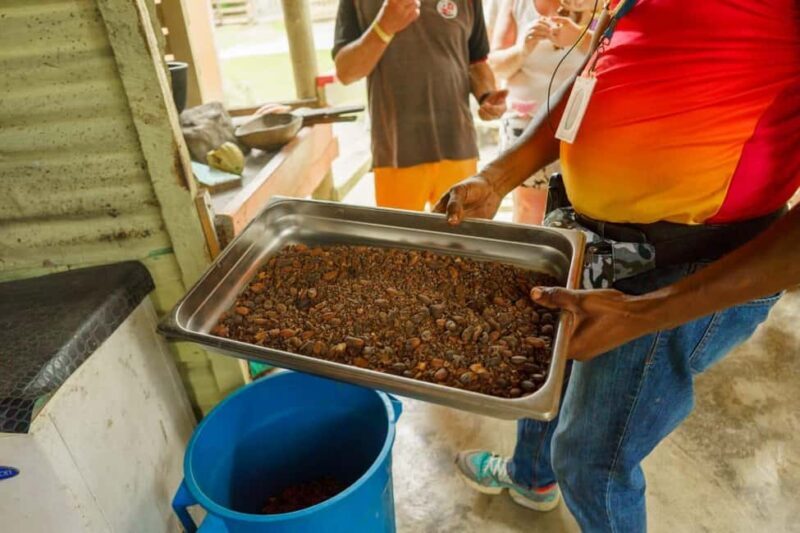 Punta Cana safari experience and historical city tour - Key Points