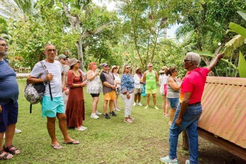 Punta Cana safari experience and historical city tour - Final Thoughts