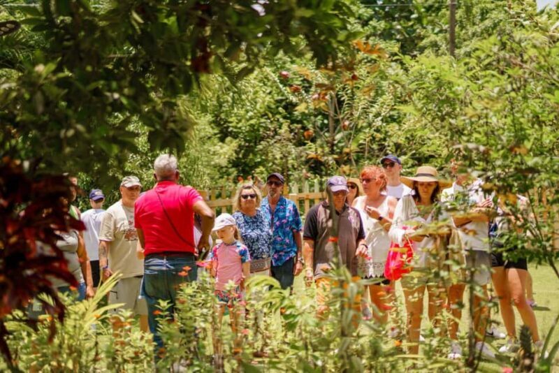 Punta Cana safari experience and historical city tour - FAQ