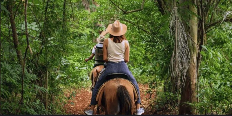 Punta Cana: Samaná Day Trip with El Limón Waterfall - Exploring Samaná: What to Expect on Your Day Trip