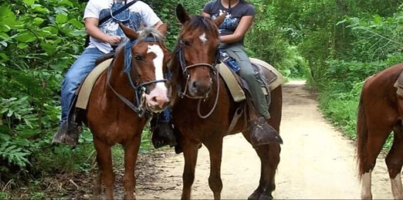 Punta Cana: Samaná Day Trip with El Limón Waterfall - Who Will Love This Tour?