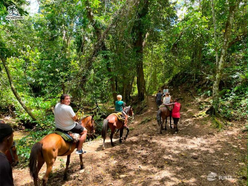 Punta Cana: Samana safari between waterfalls and beaches - Punta Cana: Samana Safari Between Waterfalls and Beaches