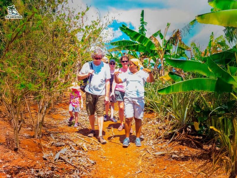 Punta Cana: Samana safari between waterfalls and beaches - Authentic Experiences and Honest Feedback