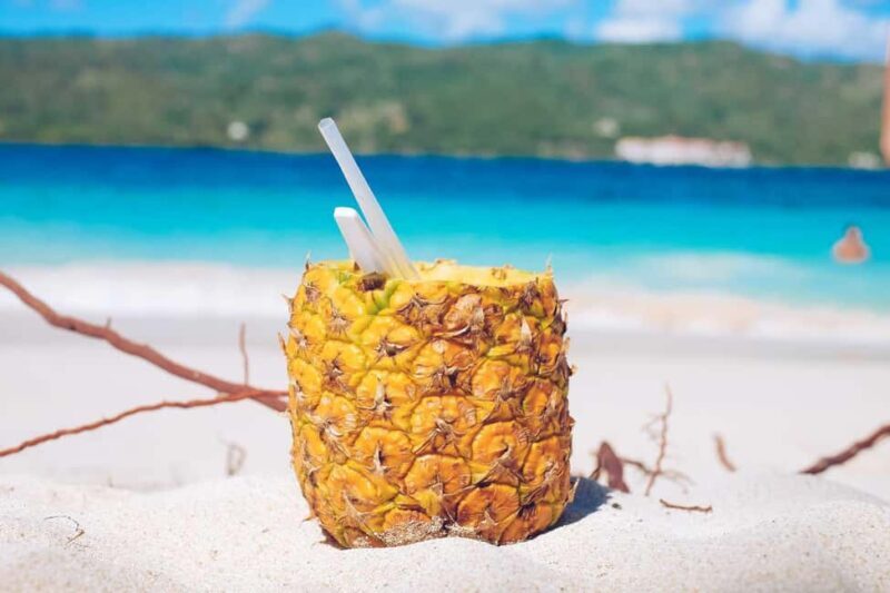 Punta Cana: Samaná Whale Watching and El Limón Day Tour - FAQ