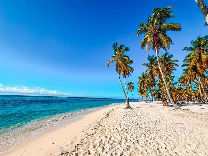 Punta Cana: Saona Crusoe VIP - Key Points